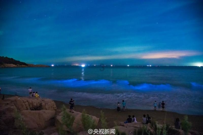 消息人士:将对乌海军在塞瓦斯托波尔残留的舰艇进行回收处理