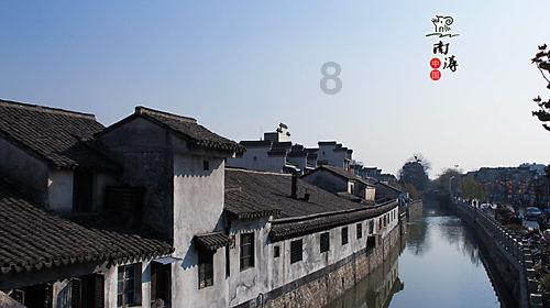 漂亮鹦鹉救援