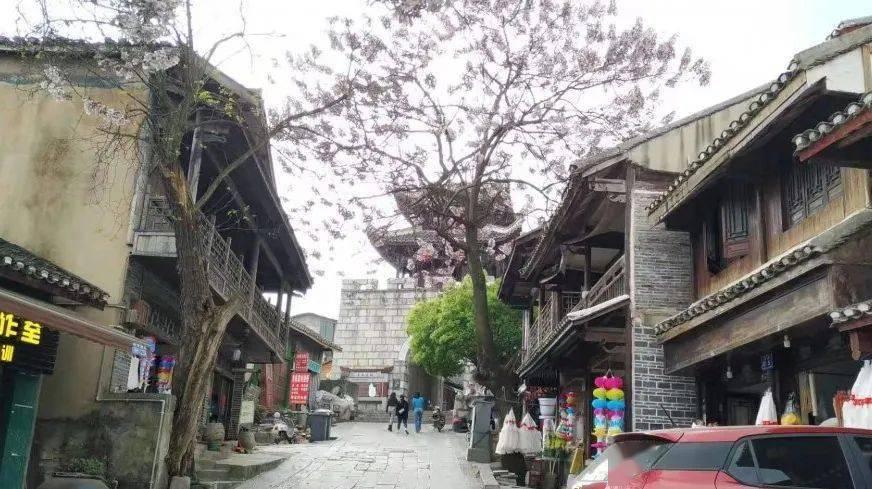 78岁浙江大伯去哈尔滨旅游,第二天脚趾冻到“变色”紧急返回